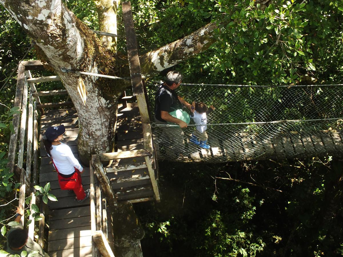 Hacienda Herrera Tambopata Puerto Maldonado Luaran gambar