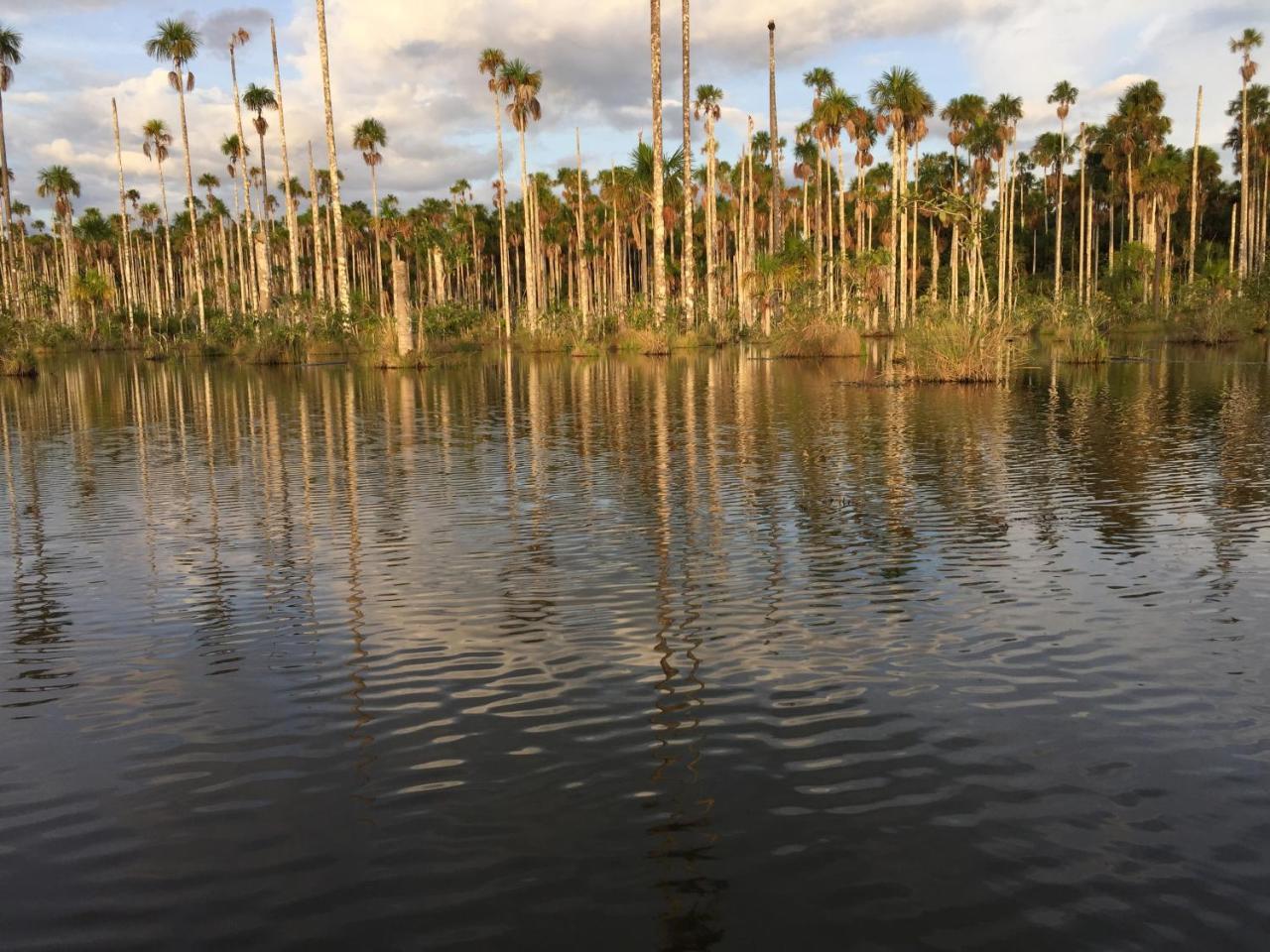 Hacienda Herrera Tambopata Puerto Maldonado Luaran gambar