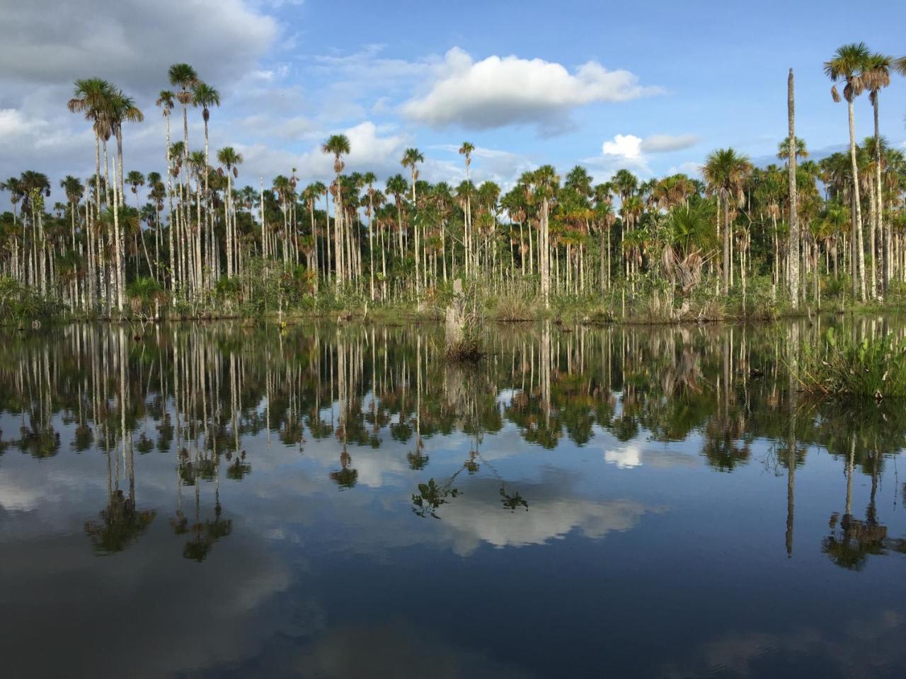 Hacienda Herrera Tambopata Puerto Maldonado Luaran gambar